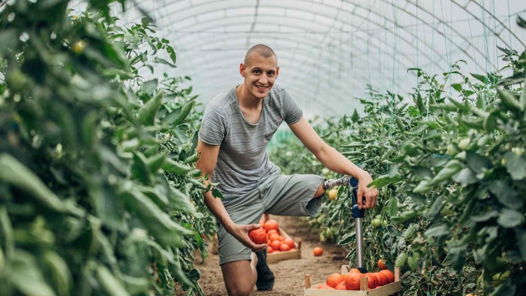 עבודה לנכים