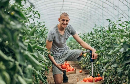 עבודה לנכים2